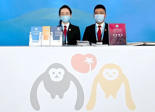 放大知识产权,消博会保护中国 好声音