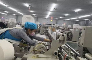宝鸡外贸总量全省第二,看看咱都出口了些啥