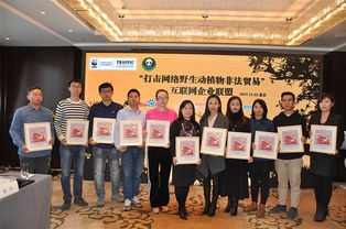 移动应用RSS阅读在纺织贸易法律服务中的价值与发展